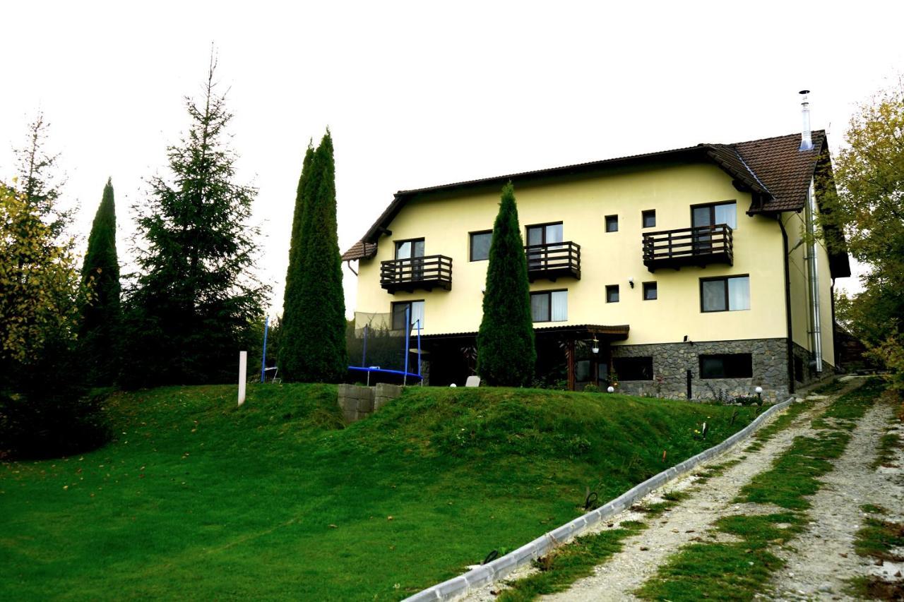 Vila Sohodol Travel Bran  Zewnętrze zdjęcie