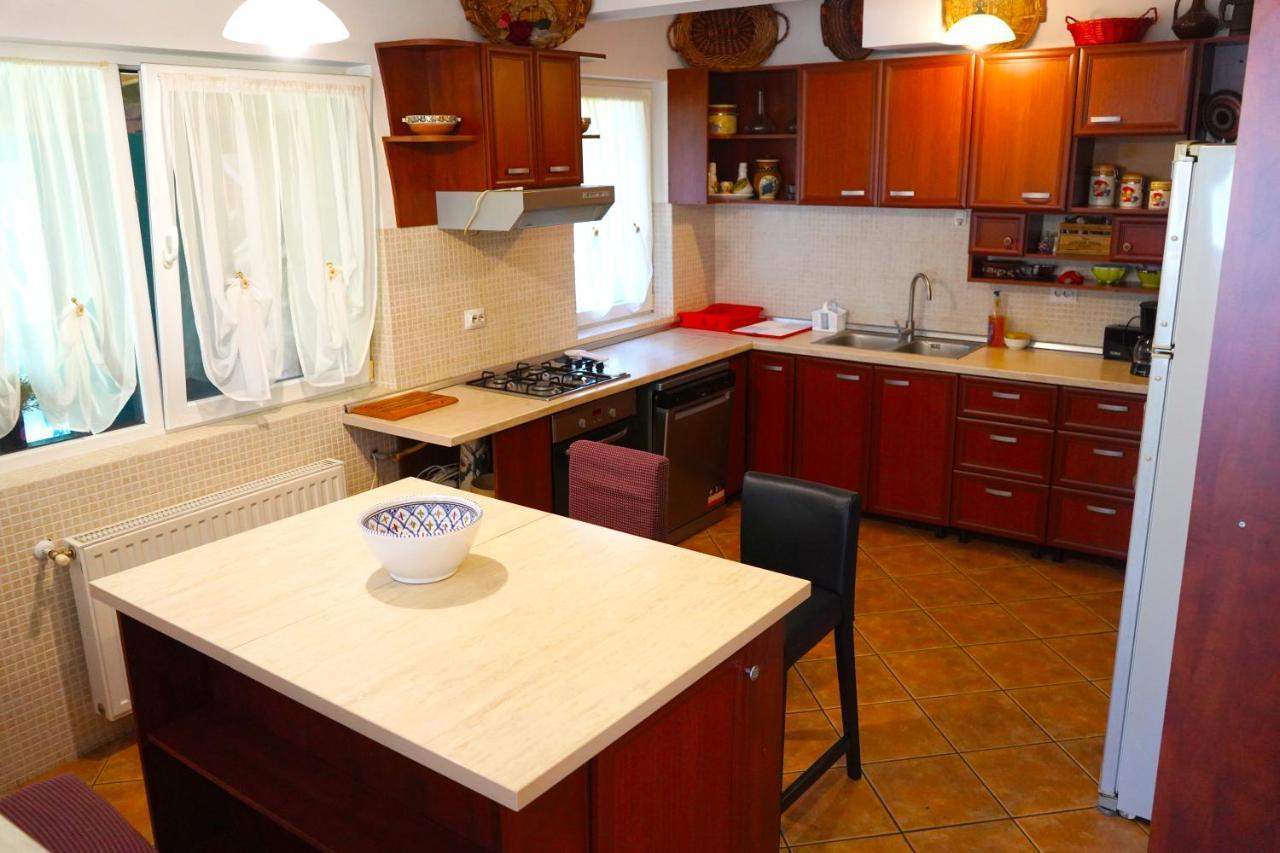 Vila Sohodol Travel Bran  Zewnętrze zdjęcie