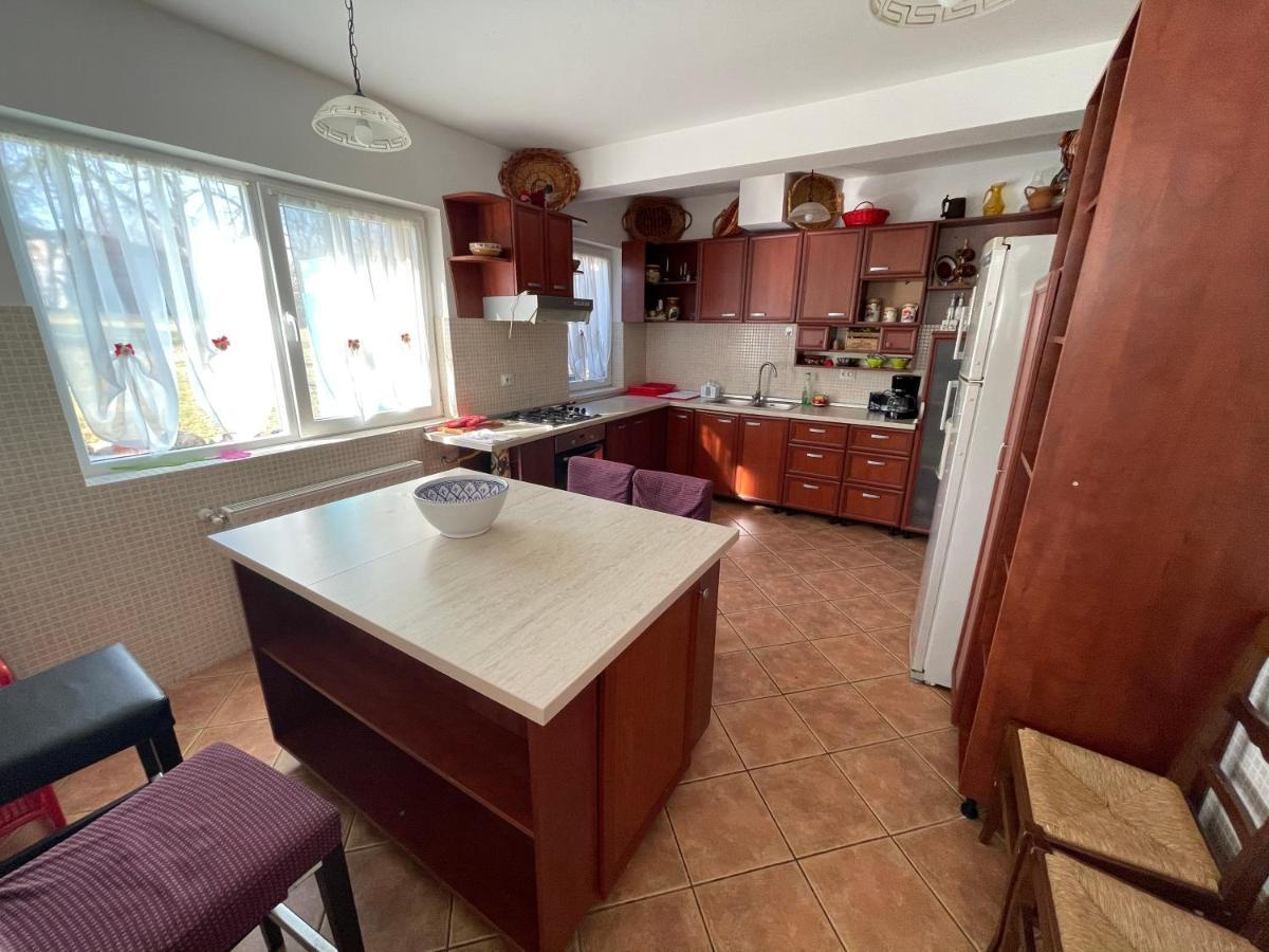 Vila Sohodol Travel Bran  Zewnętrze zdjęcie