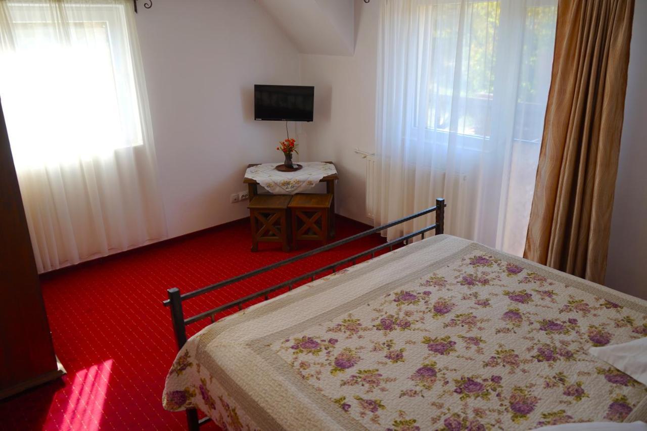 Vila Sohodol Travel Bran  Zewnętrze zdjęcie