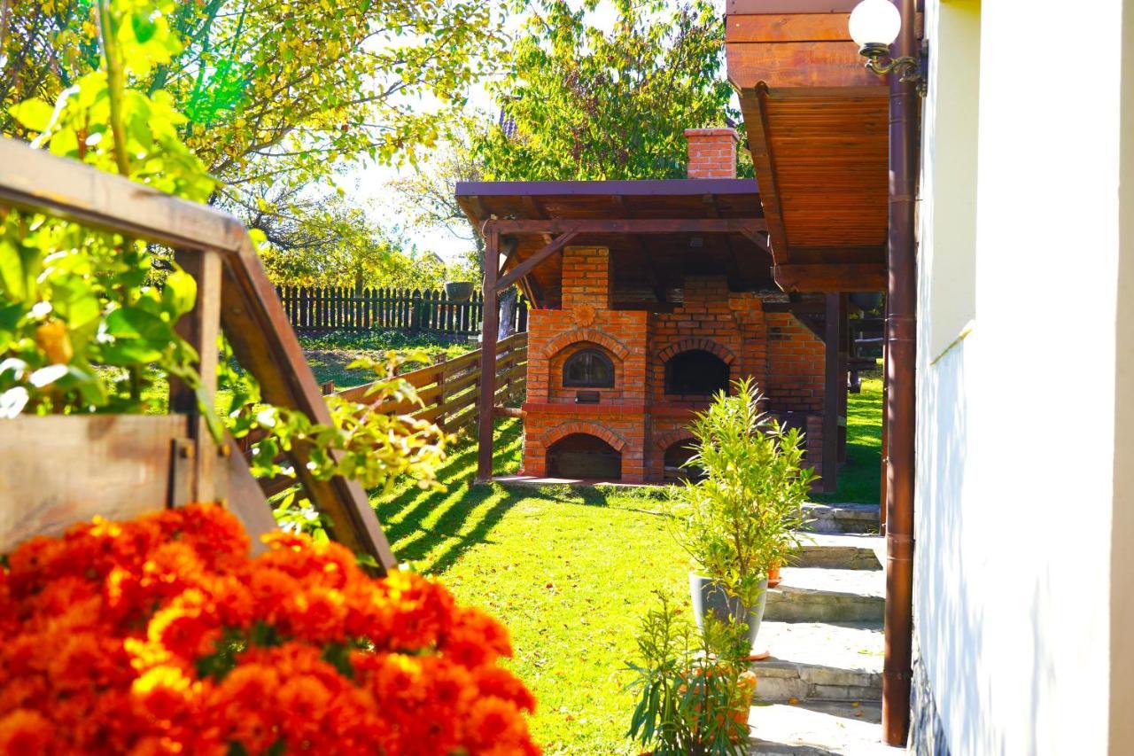 Vila Sohodol Travel Bran  Zewnętrze zdjęcie