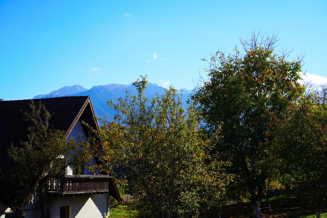 Vila Sohodol Travel Bran  Zewnętrze zdjęcie