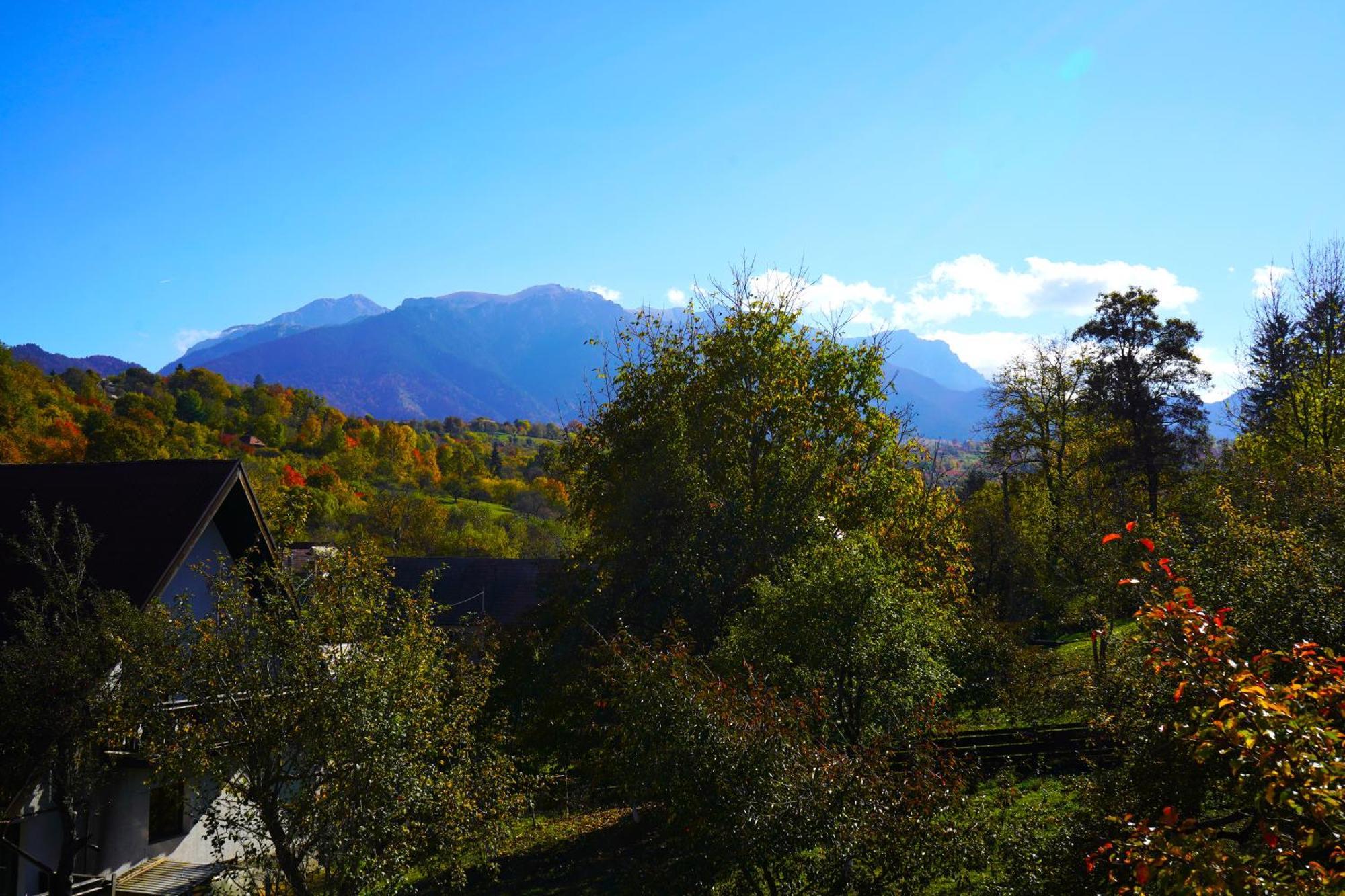 Vila Sohodol Travel Bran  Zewnętrze zdjęcie