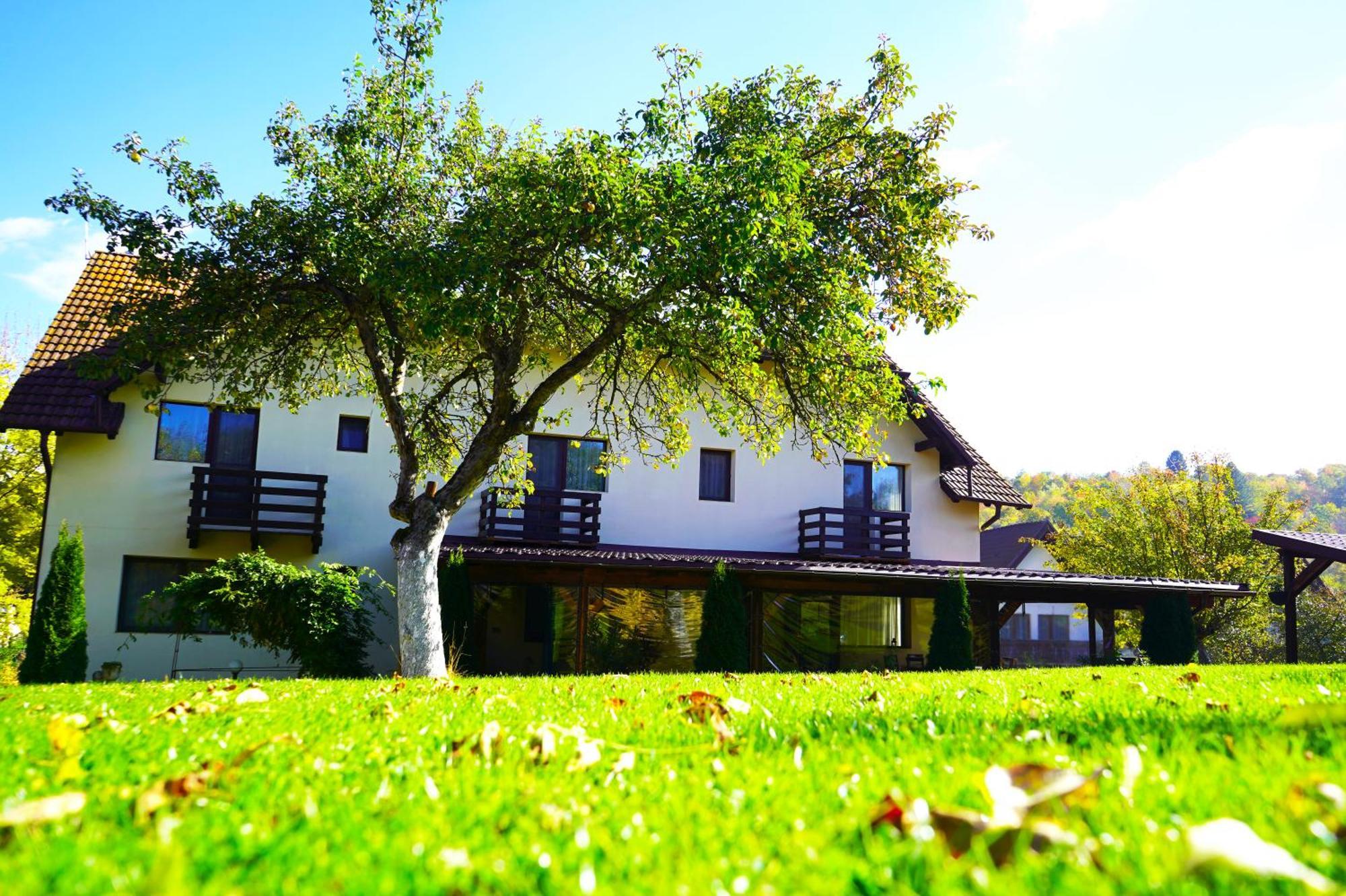 Vila Sohodol Travel Bran  Zewnętrze zdjęcie